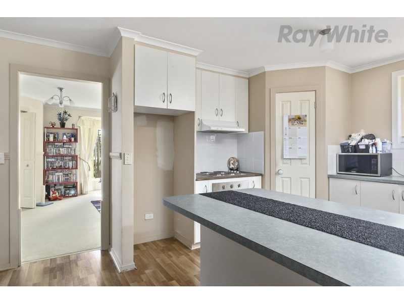 17 Cloak Place, Old Beach TAS 7017