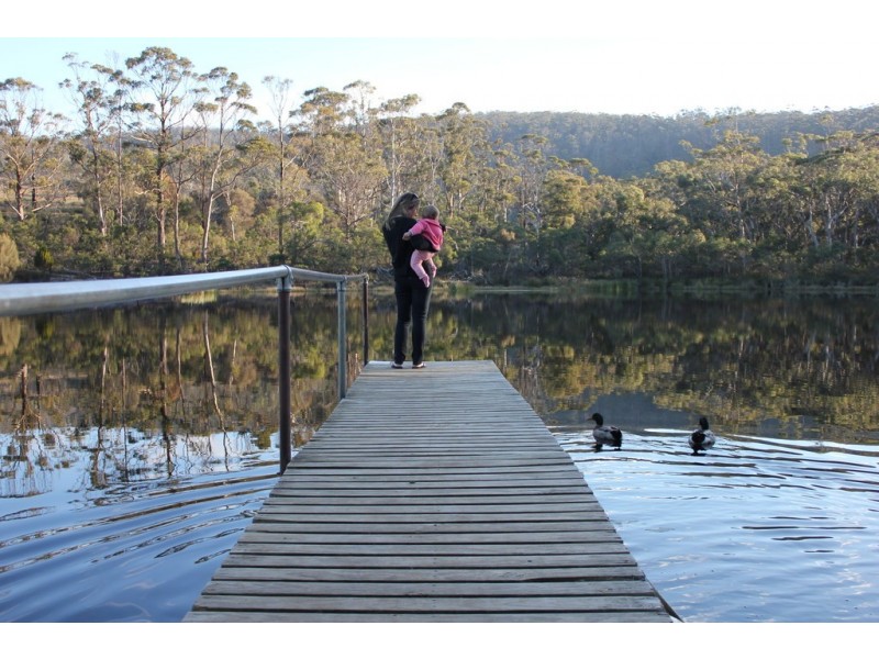 219 Swanston Road, Little Swanport TAS 7190