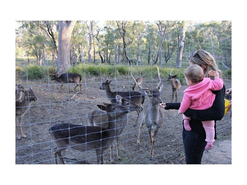 219 Swanston Road, Little Swanport TAS 7190