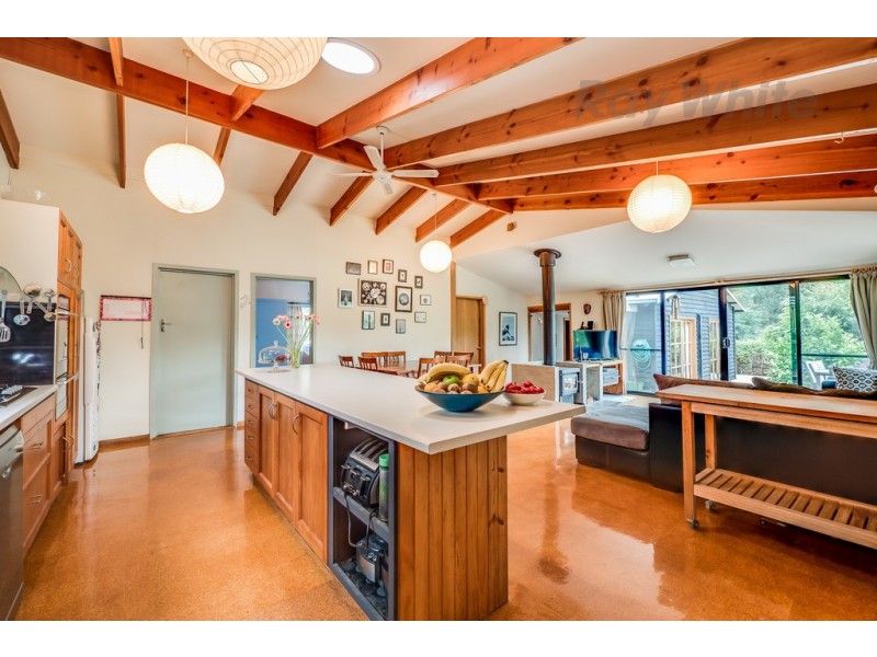 20 Mountain Road, Allens Rivulet TAS 7150