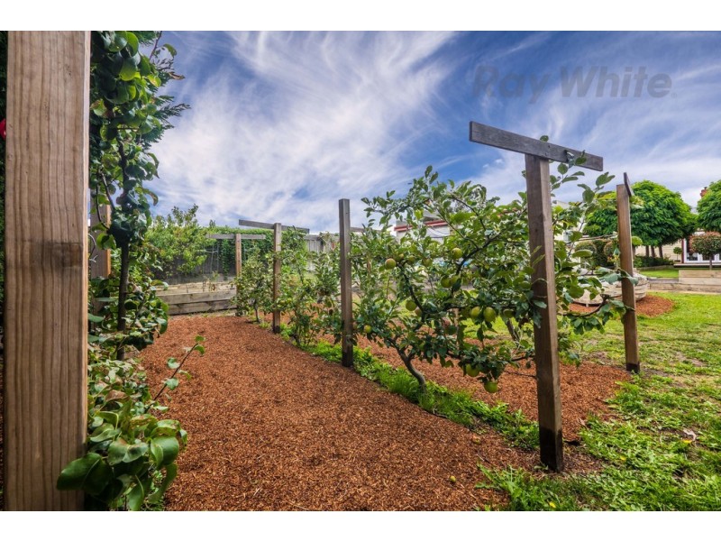 20 Elmsleigh Road, Derwent Park TAS 7009