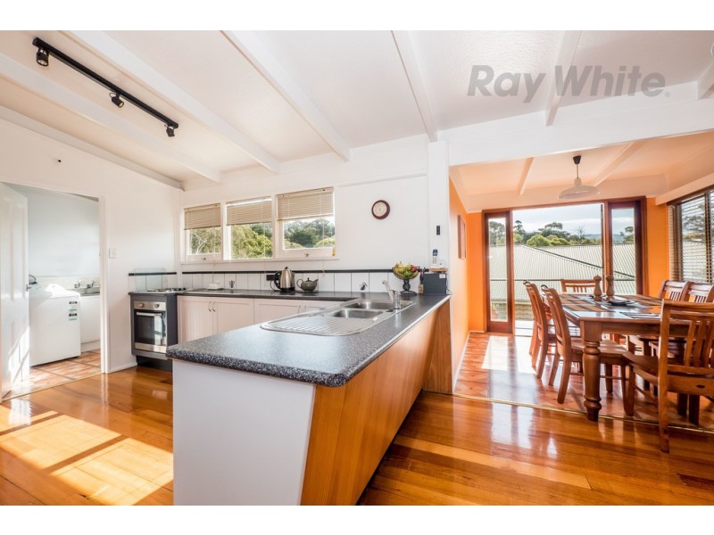 41 Maning Ave, Sandy Bay TAS 7005