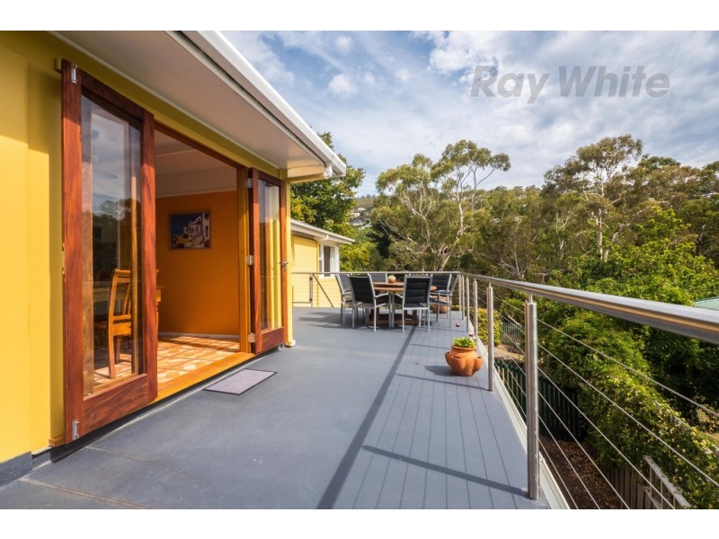 41 Maning Ave, Sandy Bay TAS 7005
