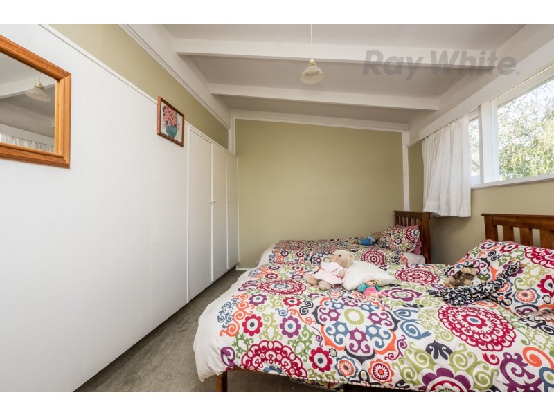 41 Maning Ave, Sandy Bay TAS 7005