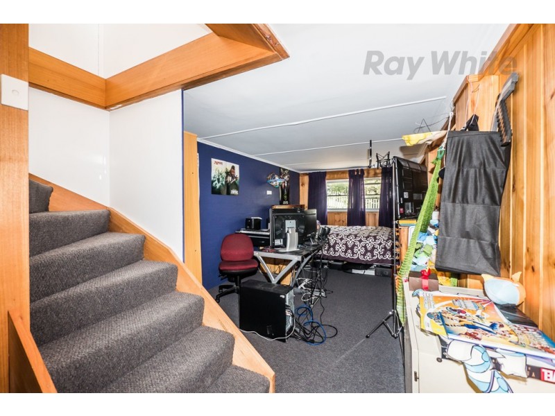 41 Maning Ave, Sandy Bay TAS 7005