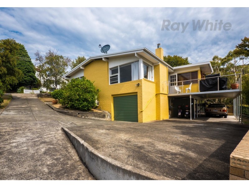41 Maning Ave, Sandy Bay TAS 7005