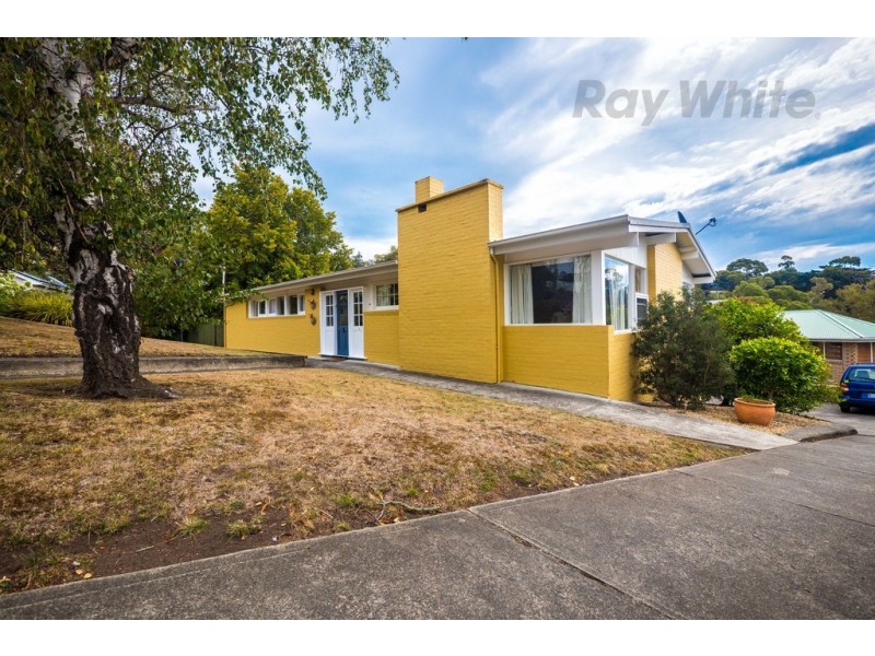 41 Maning Ave, Sandy Bay TAS 7005