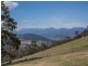 430 Black Hills Road, Black Hills, New Norfolk TAS 7140