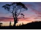 430 Black Hills Road, Black Hills, New Norfolk TAS 7140