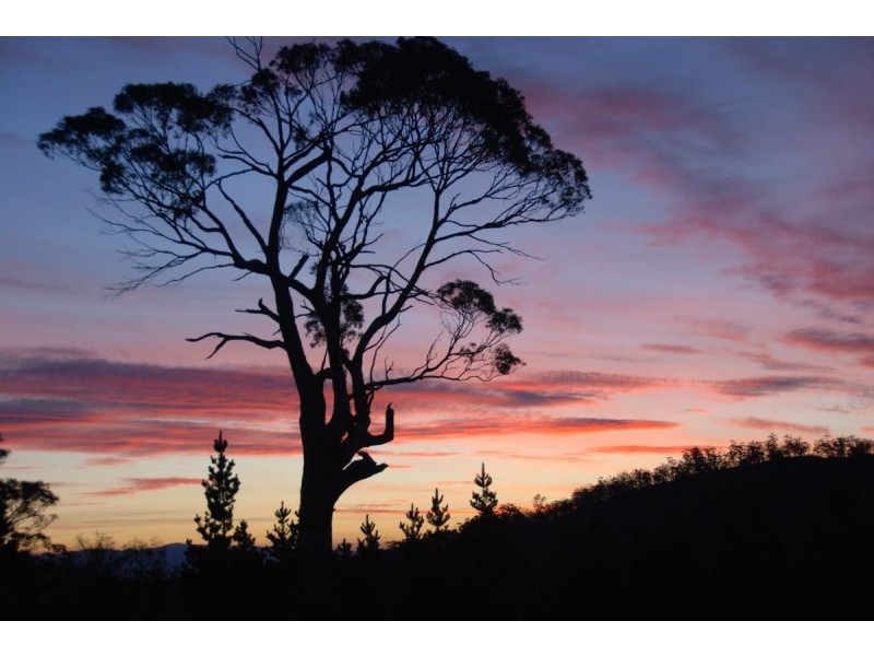 430 Black Hills Road, Black Hills, New Norfolk TAS 7140