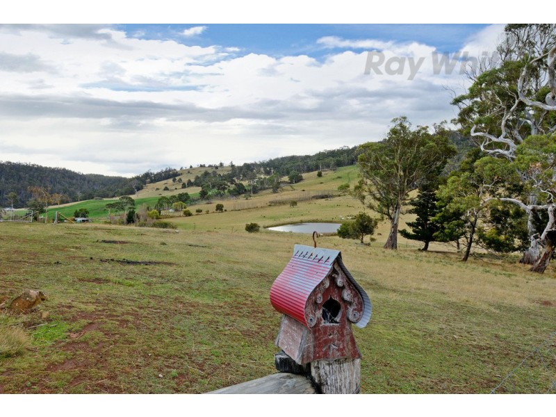 430 Black Hills Road, Black Hills, New Norfolk TAS 7140