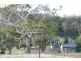 430 Black Hills Road, Black Hills, New Norfolk TAS 7140