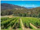 107 Centauri Drive, Mount Rumney TAS 7170