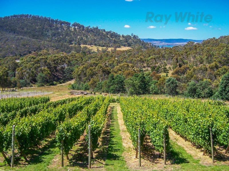 107 Centauri Drive, Mount Rumney TAS 7170