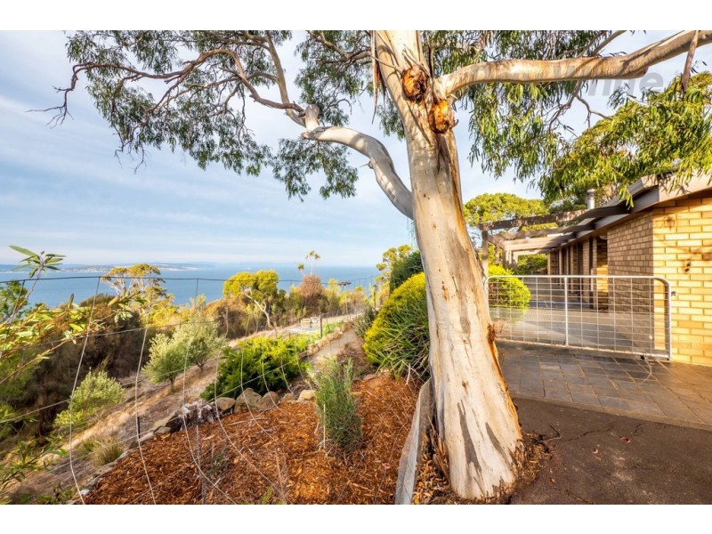239 Tinderbox Road, Tinderbox TAS 7054