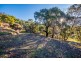 46 Charles Street, Orford TAS 7190