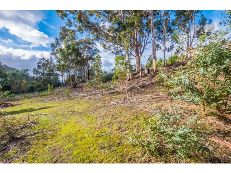 22 Glenlusk Road, Berriedale TAS 7011