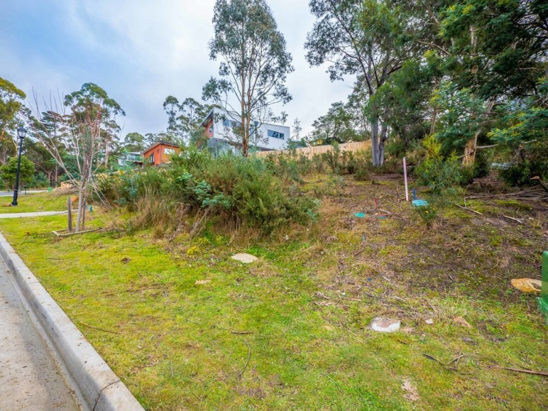 4 Woodlyn Court, South Hobart TAS 7004