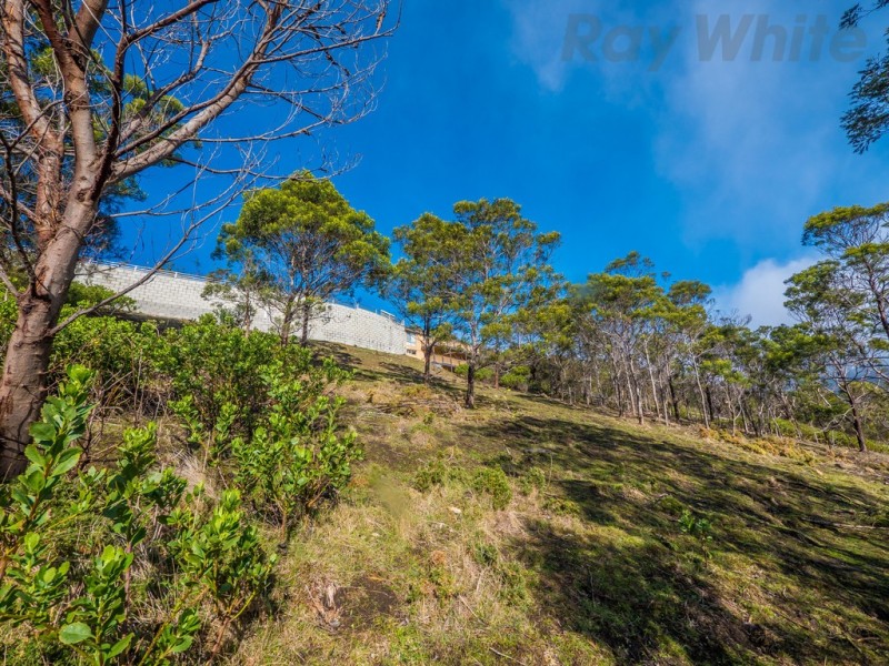5 McDevitt Avenue, Dynnyrne TAS 7005