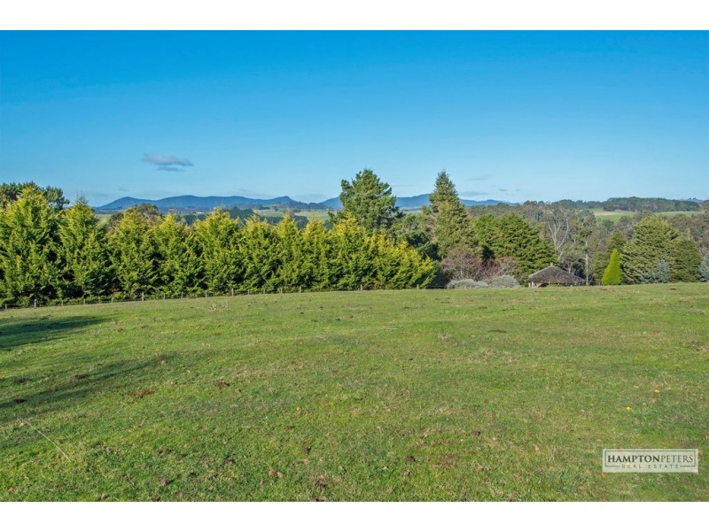 Romaine TAS 7320