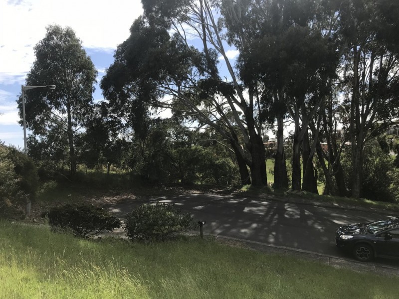 Shorewell Park TAS 7320