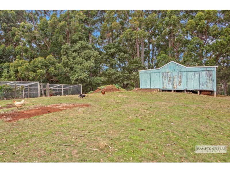 Mount Hicks TAS 7325