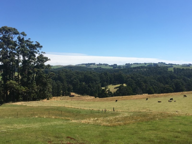 Somerset TAS 7322