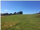 Somerset TAS 7322