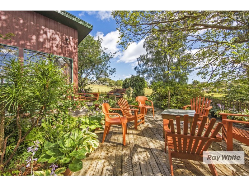 Mount Hicks TAS 7325