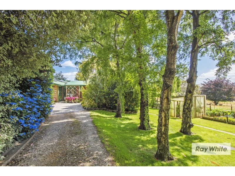 Mount Hicks TAS 7325