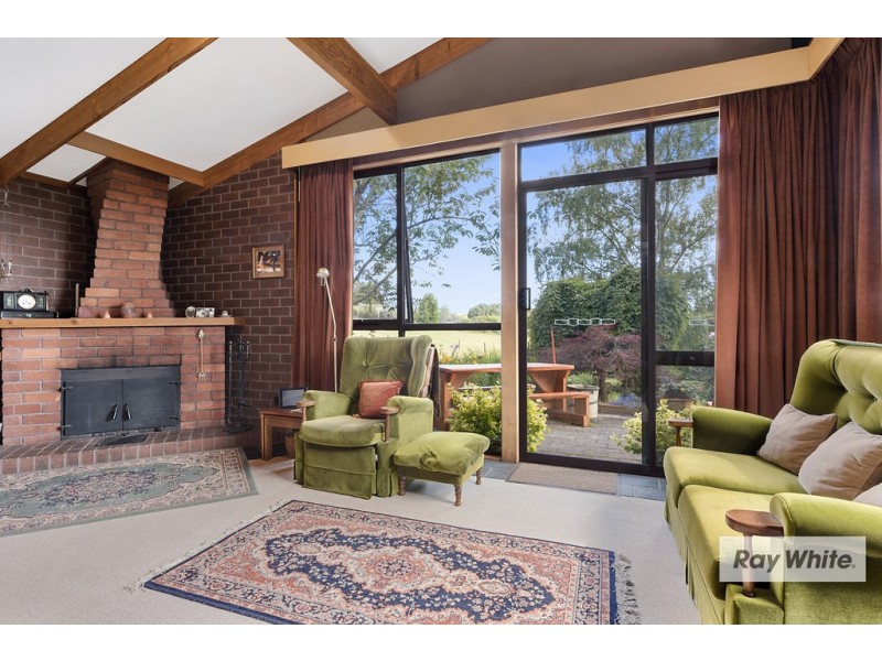 Mount Hicks TAS 7325