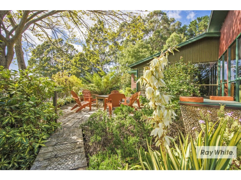 Mount Hicks TAS 7325