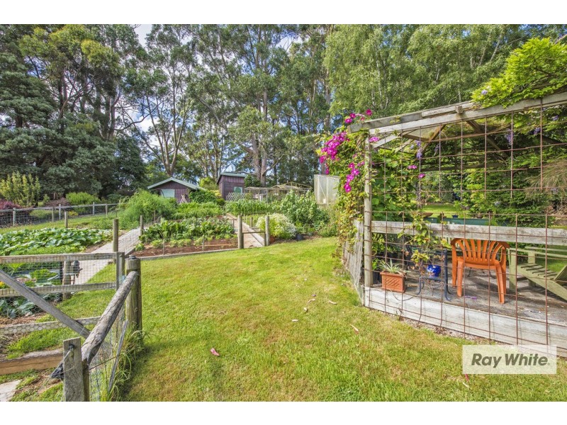 Mount Hicks TAS 7325