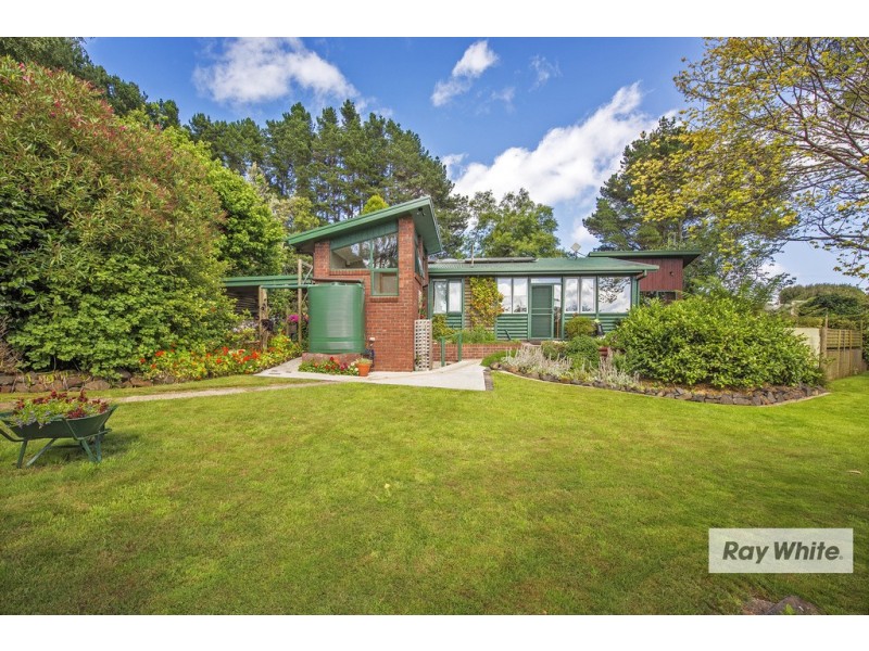 Mount Hicks TAS 7325