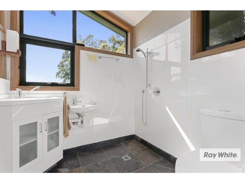 Mount Hicks TAS 7325