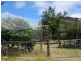 Mount Hicks TAS 7325