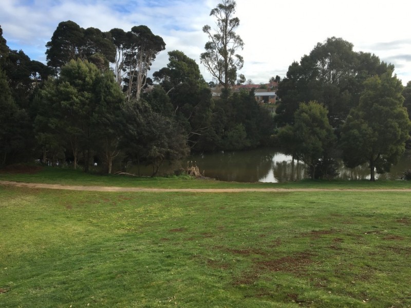 Park Grove TAS 7320
