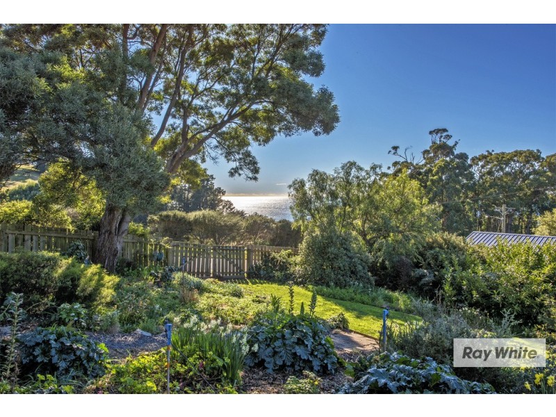 5 West Ridge Road, Penguin TAS 7316