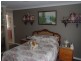 974 Ridgley Highway, Ridgley TAS 7321