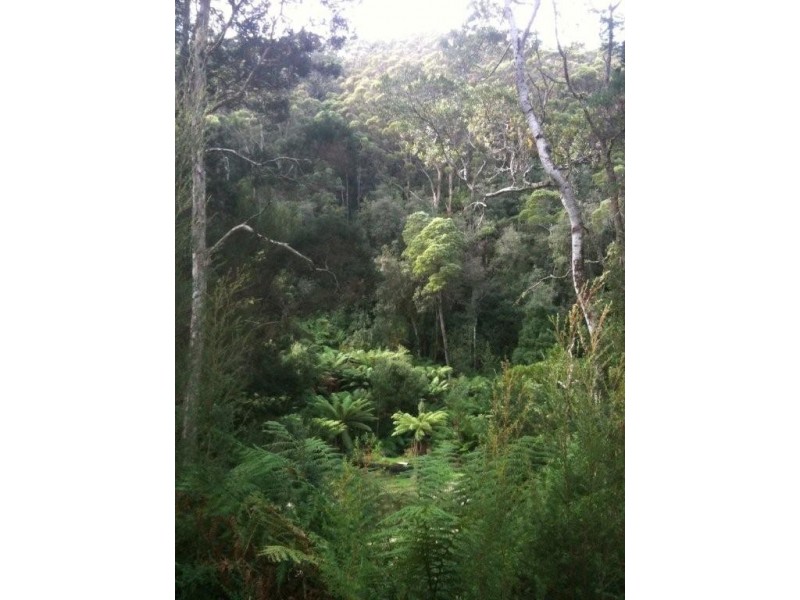Lot 3/325 Lowana Road, Strahan TAS 7468