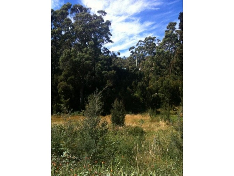 Lot 3/325 Lowana Road, Strahan TAS 7468