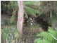 18 Andrew Street, Strahan TAS 7468