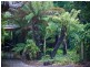 6 Stockdale Avenue, Sisters Beach TAS 7321