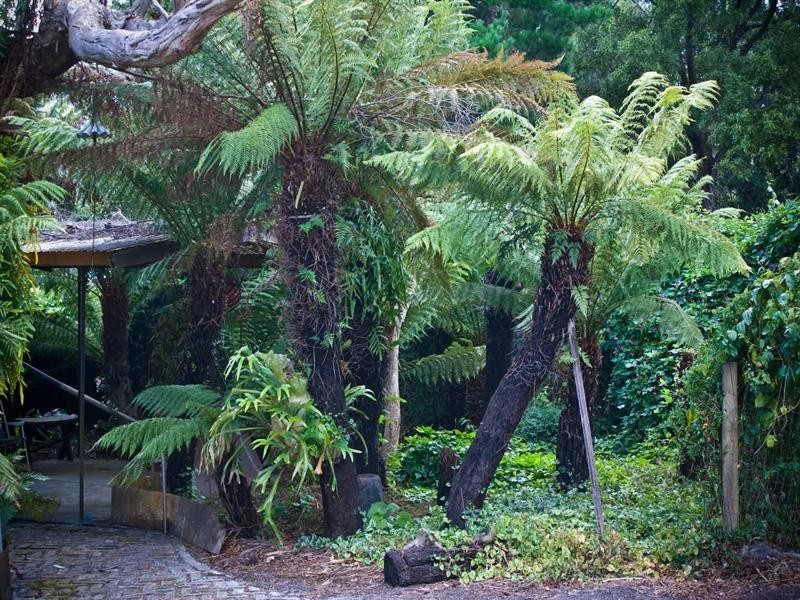 6 Stockdale Avenue, Sisters Beach TAS 7321