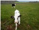 233 Stowport Road, Stowport TAS 7321