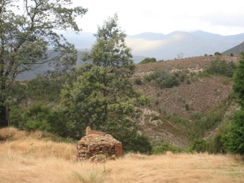 2 Lease Street, Gormanston TAS 7466