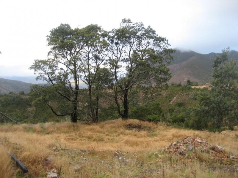 2 Lease Street, Gormanston TAS 7466