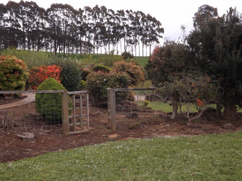 859 East Yolla Road, Yolla TAS 7325