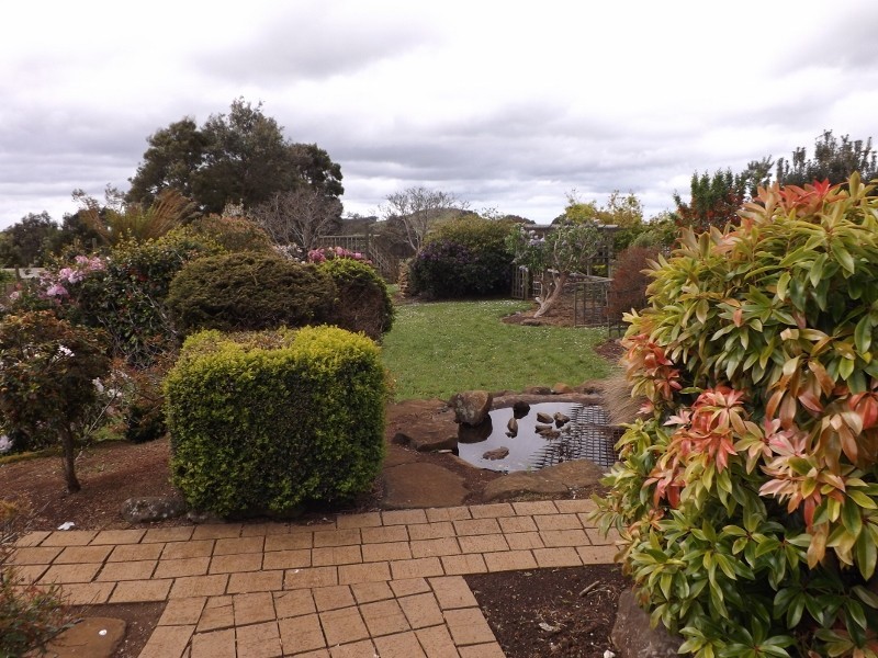 859 East Yolla Road, Yolla TAS 7325