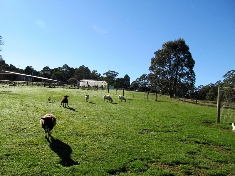 230 Lyons Road, Lapoinya TAS 7325